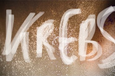 Kunst und der Staub des Alltags